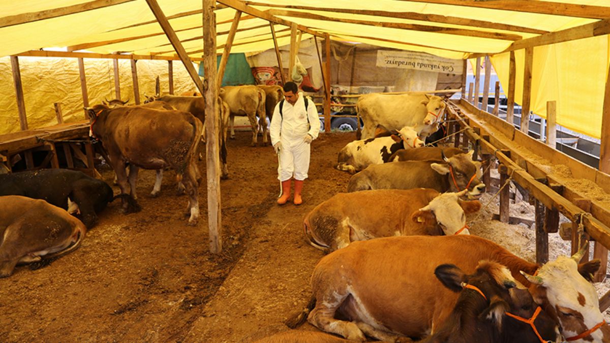 Kurban satış ve kesimine ilişkin kurallar belirlendi