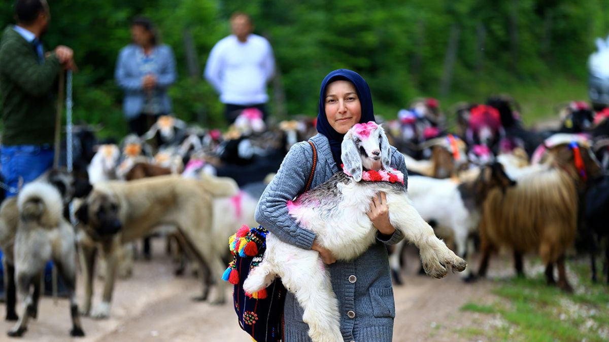 114 yıllık yayla geleneği