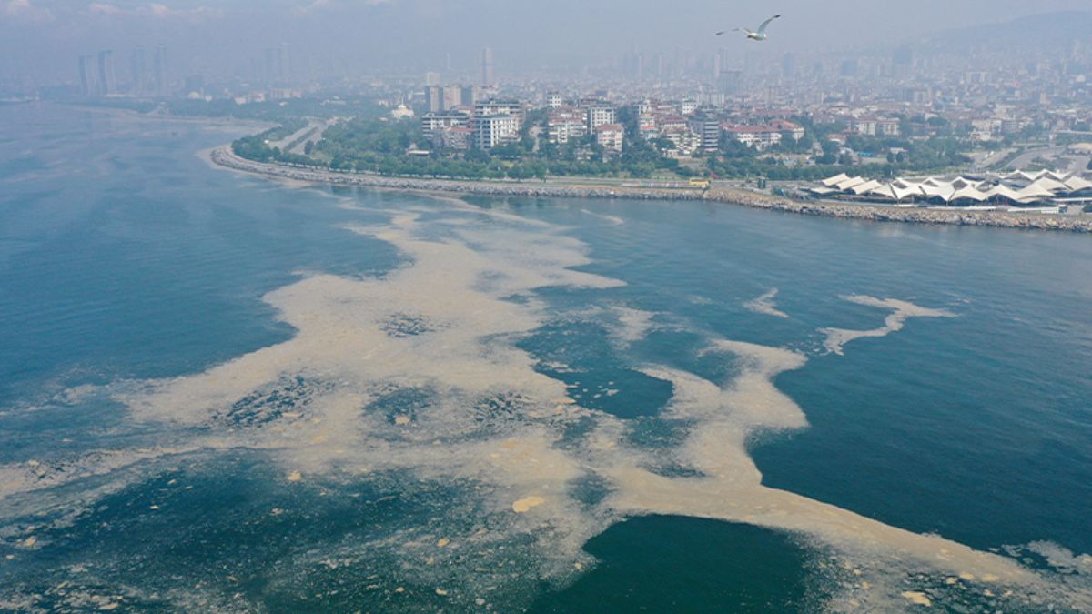Müsilaja karşı Marmara'ya 'nefes' takviyesi