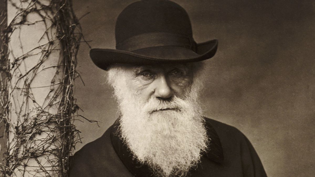 Bilim insanları, Darwin'in cinsel seçilim hakkında yanıldığını ortaya koydu