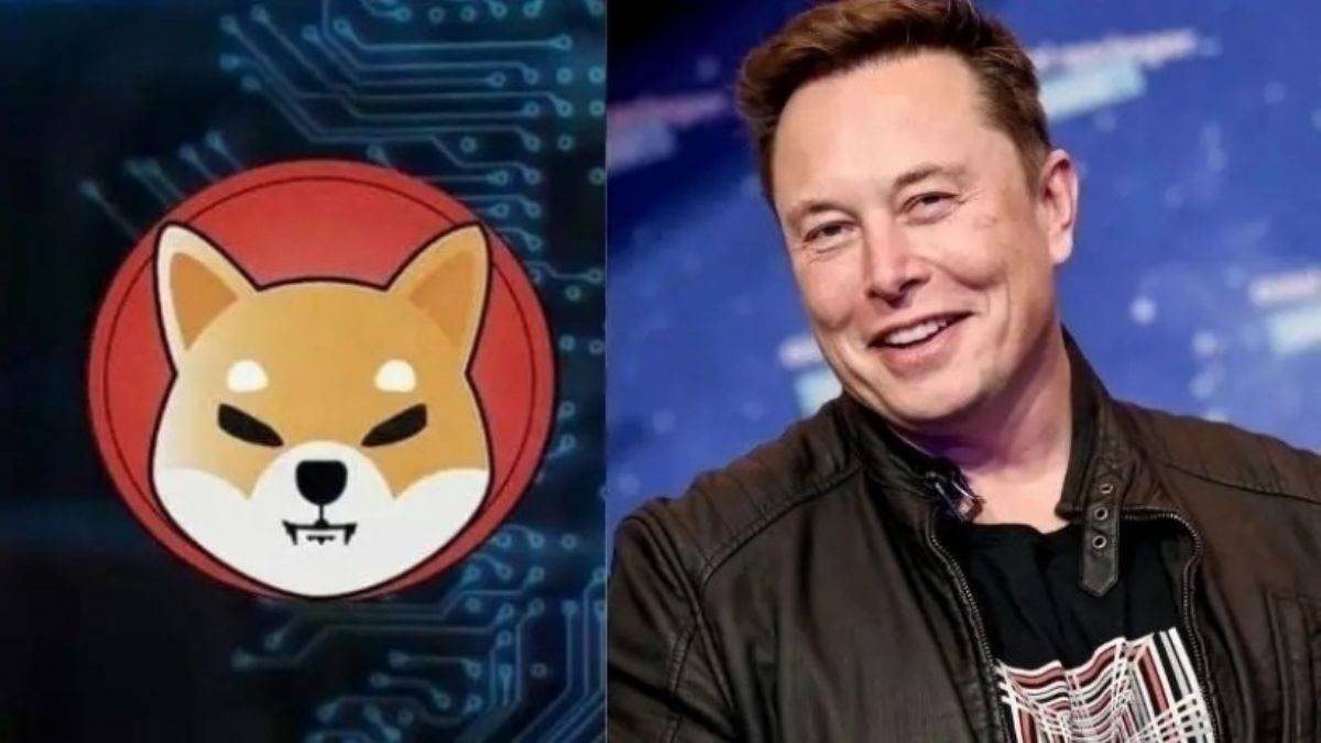 Elon Musk'ın tweetinden sonra ShibaCoin gündeme oturdu