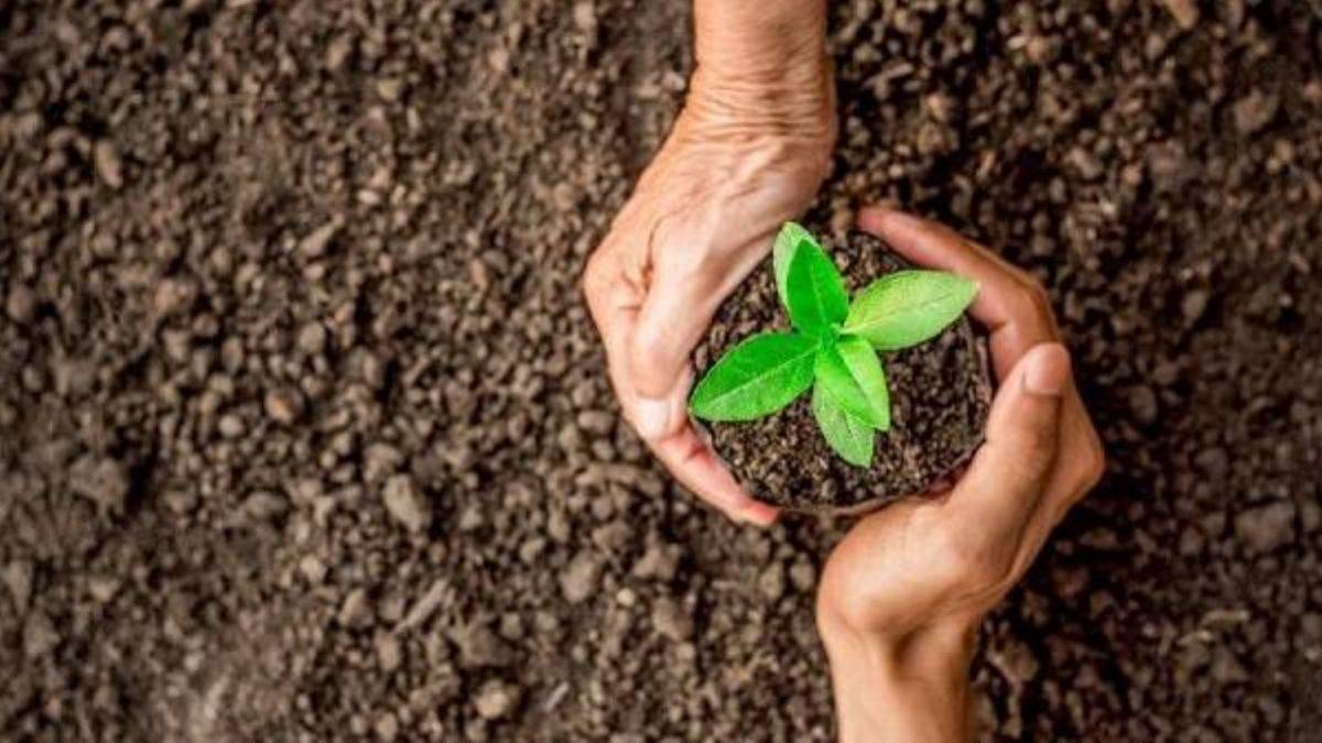 Geleceğe Nefes Ol fidan dikme kampanyası nedir?