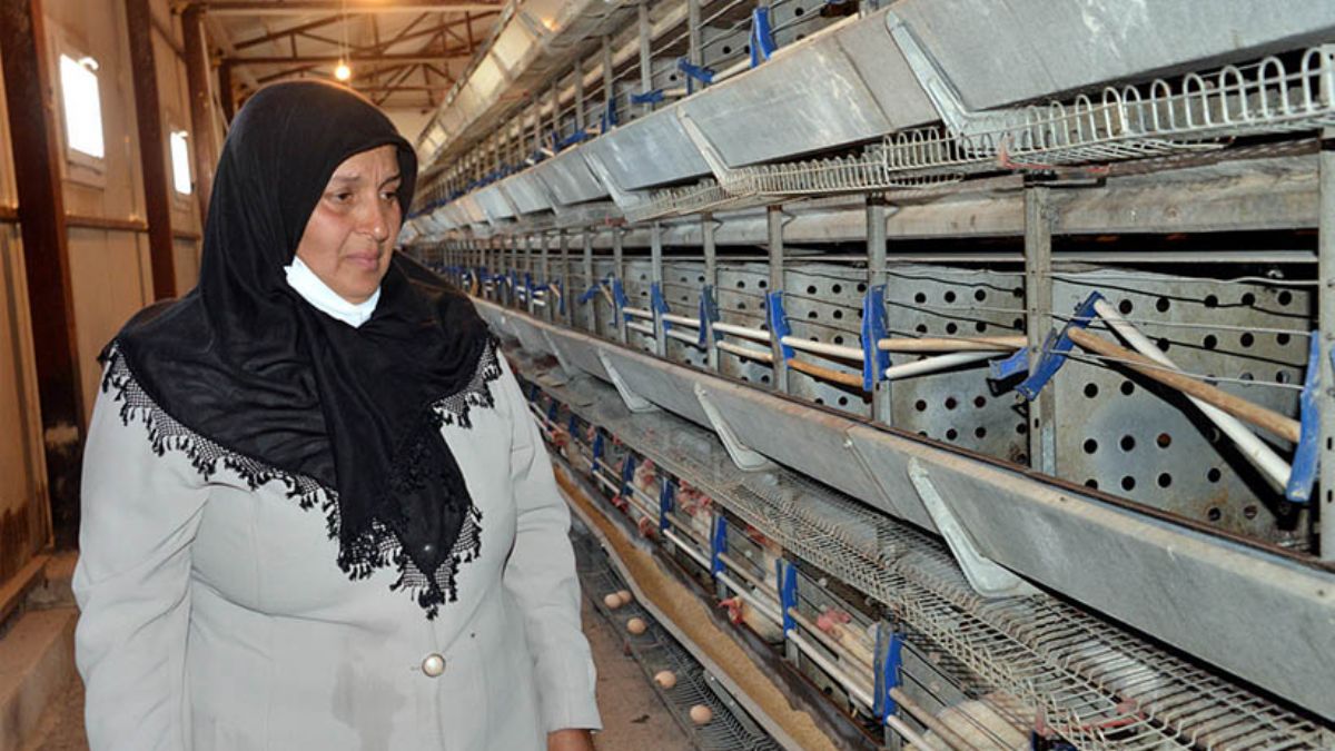 Bakan Pakdemirli'den tavukları ölen kadın girişimciye destek