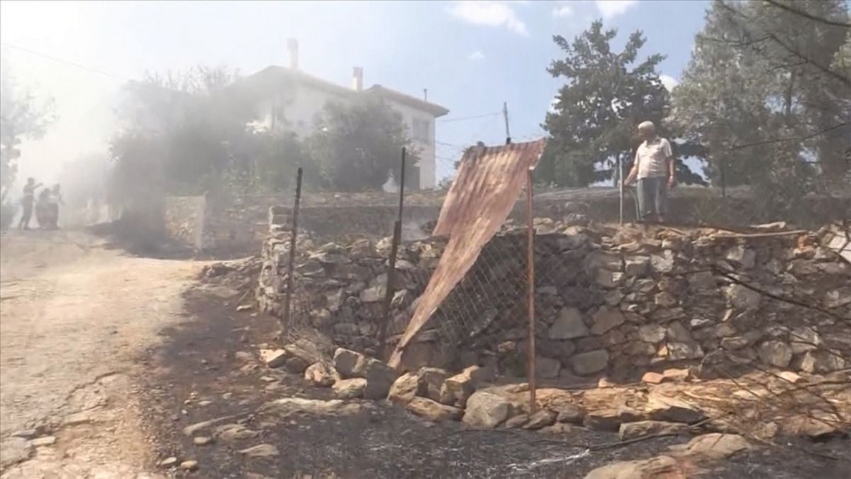 Muğla'da çıkan orman yangını söndürüldü