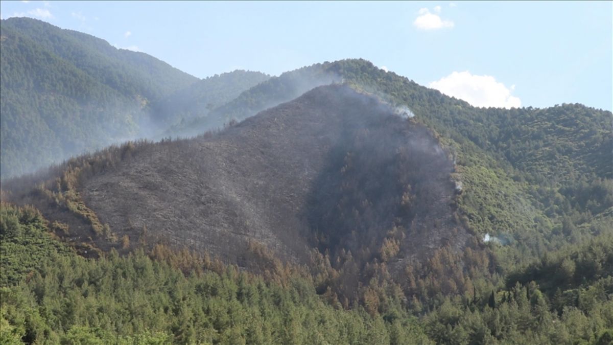 Denizli'de 5 hektarlık alanın zarar gördüğü orman yangınının başlangıç noktasında mangal bulundu