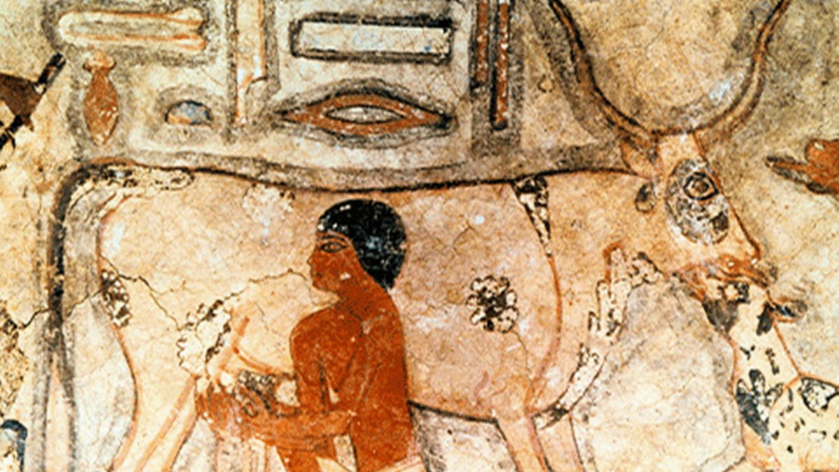 Türkler yoğurtçu mu sütçü mü?