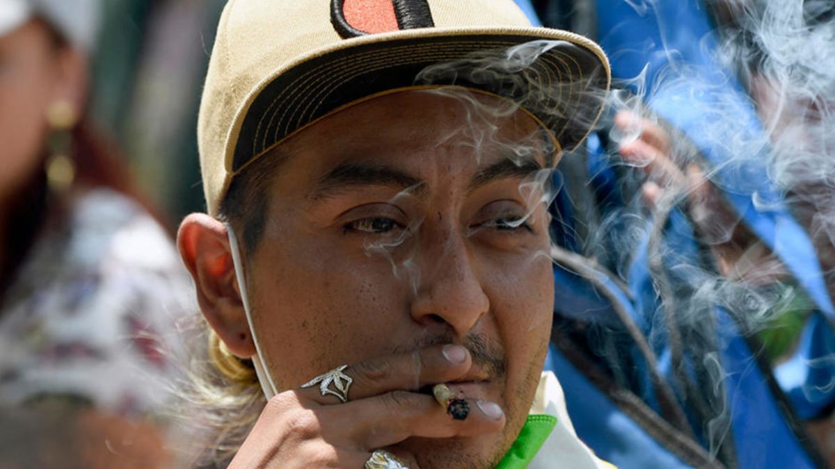 Meksika'da keyif amaçlı esrar kullanımı suç olmaktan çıkartıldı