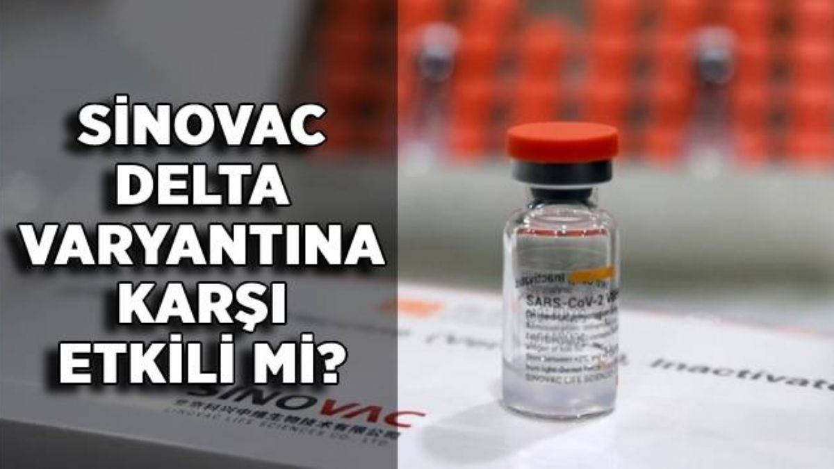 Sinovac Delta varyantına karşı etkili mi? Çin aşısı Sinovac delta mutasyonuna karşı korur mu?