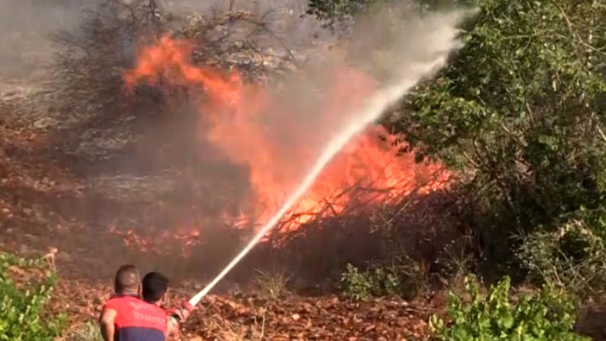 Ömerli'de orman yangını