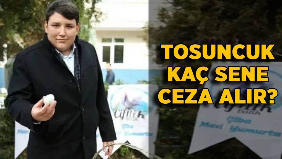 Tosuncuk Mehmet Aydın kaç sene hapis yatar? Tosuncuk kaç sene ceza alır?