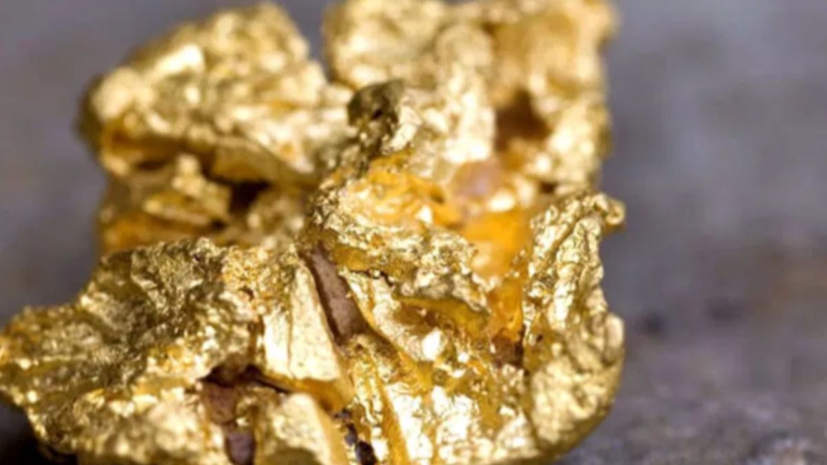 Sivas’ta altın saha çalışmaları başladı