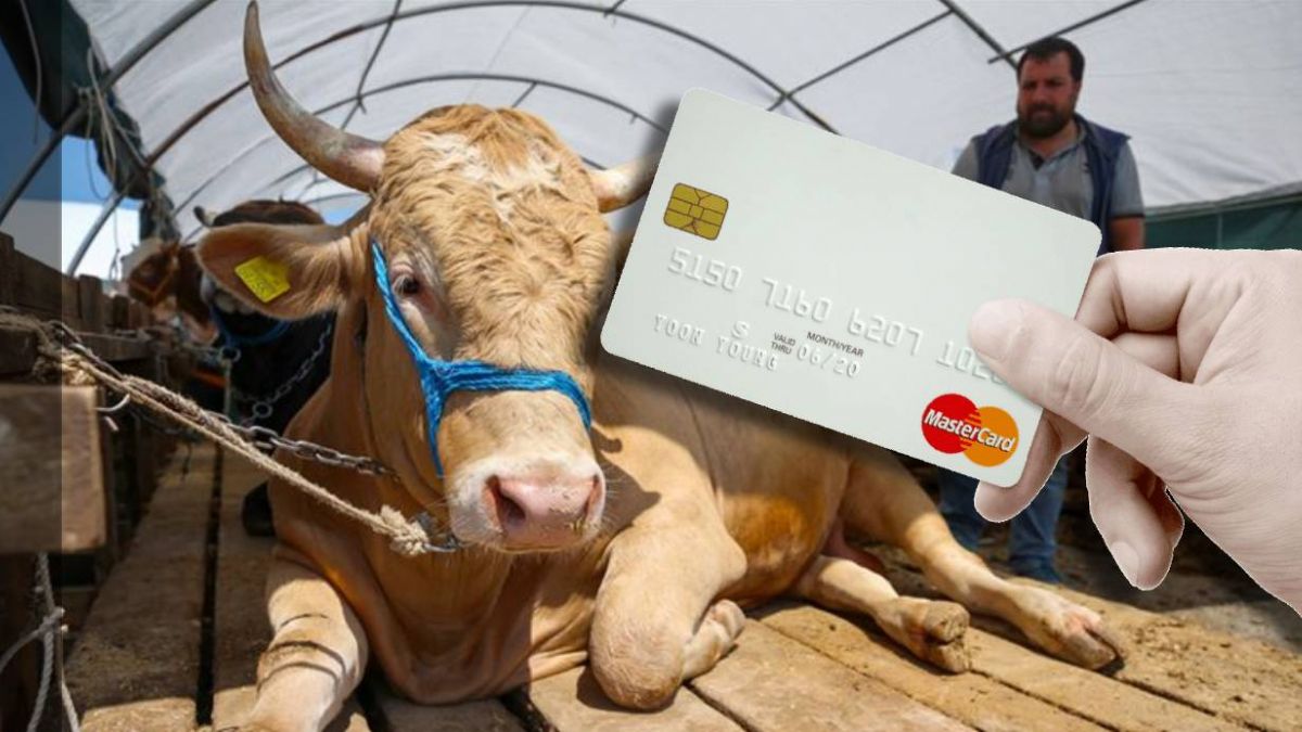 Marketten kredi kartı ile kurban alınır mı? Kredi kartı ile kurban almak caiz mi?