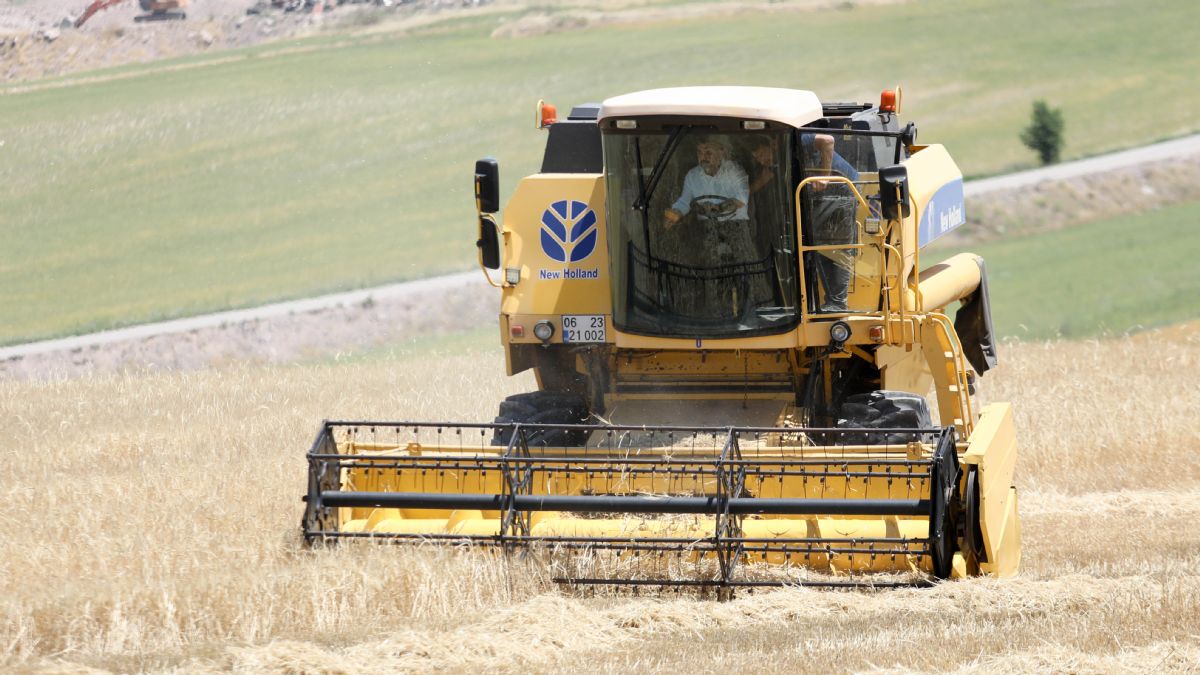 Sincan'da hasat zamanı