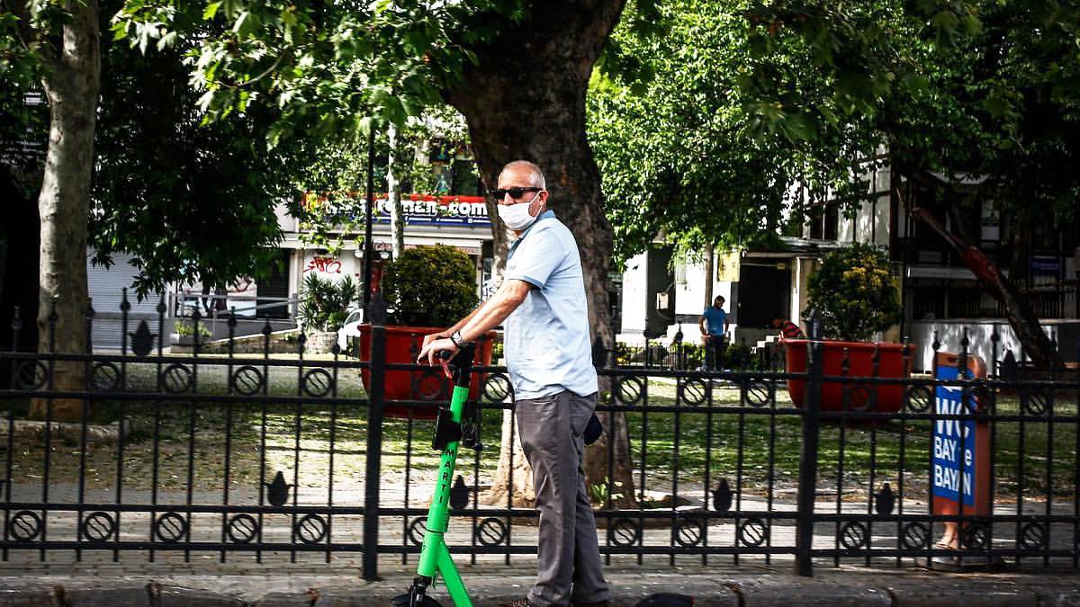 Trafiğe yeni alternatif Martıların kullanımı ve ücretlendirilmesi