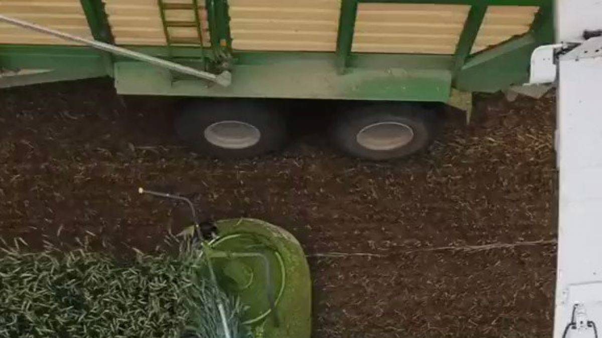 Çiftçilerin işini kolaylaştıran biçer döver