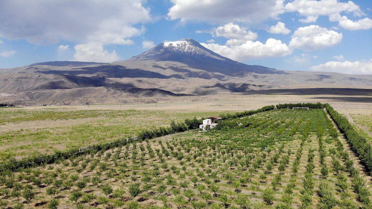 Ağrılı çiftçi 30 yıllık kazancını çorak araziye yatırdı