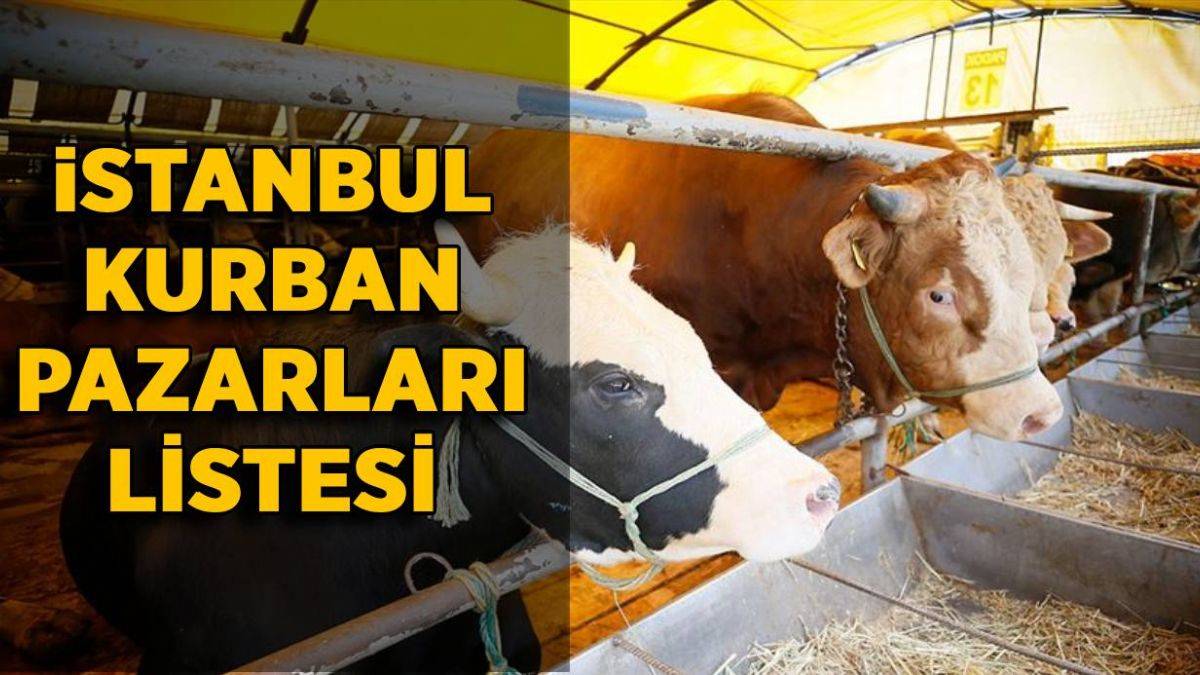 İstanbul'da kurban pazarları nerelerde hangi ilçelerde var? 2021 İstanbul kurbanlık pazarları listesi