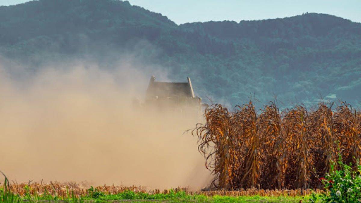 Küresel tarım ve gıda 10 yıl zorlayacak