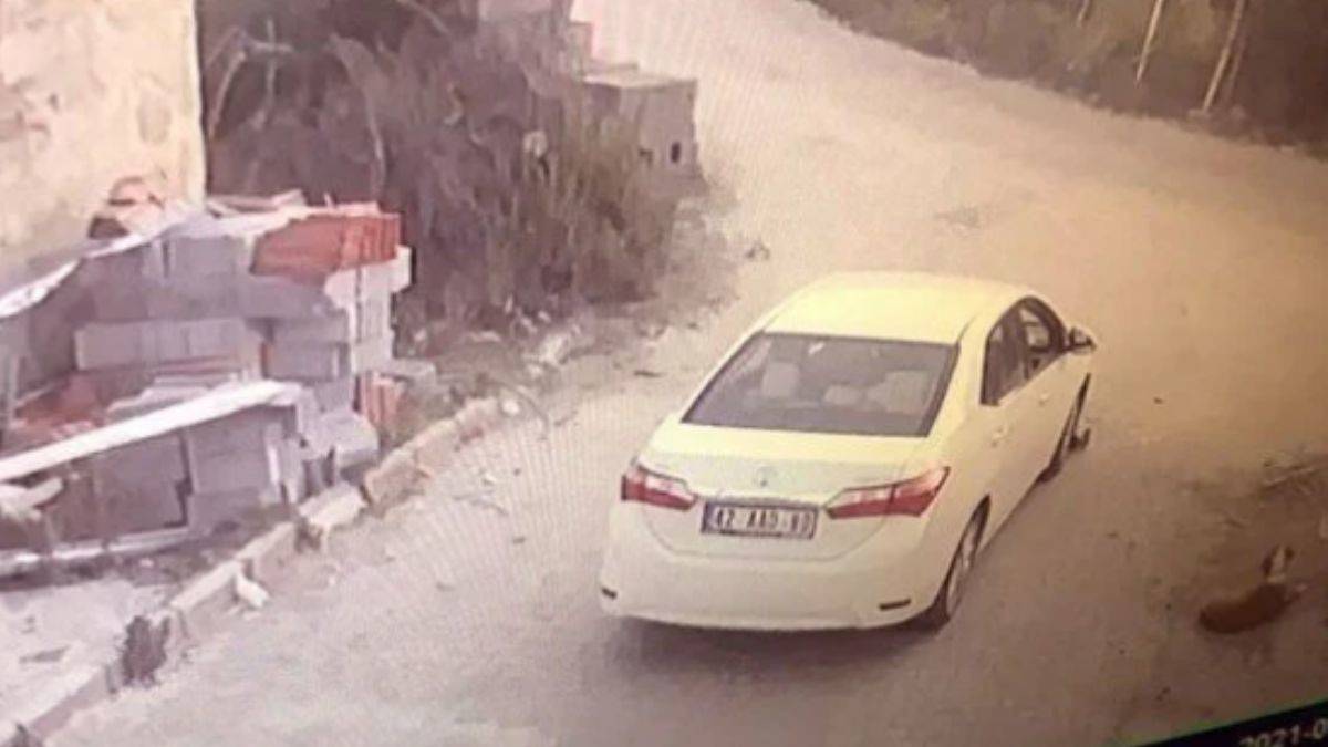 Yavru köpeği ezen sürücü yoluna devam etti