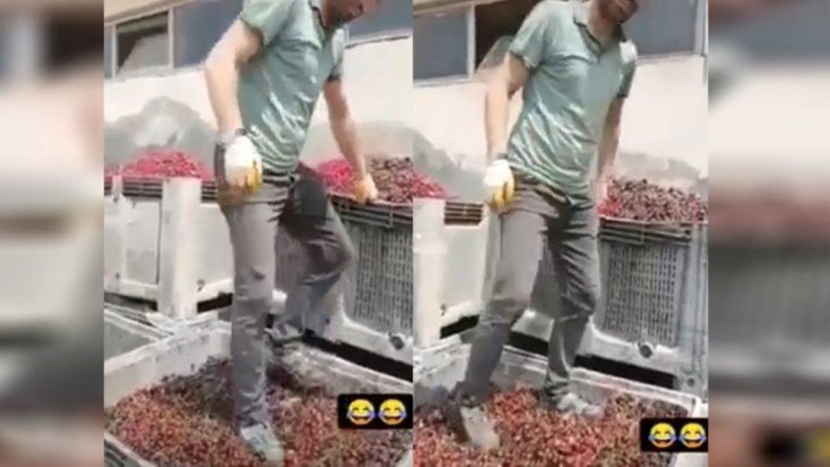 Meyve suyu tesisinde ayakkabıyla vişne çiğnendiği görüntülendi!