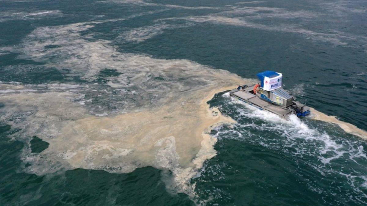 Marmara'da müsilaj bitti mi? Marmara Denizi'nde müsilaj (deniz salyası) temizlendi mi?