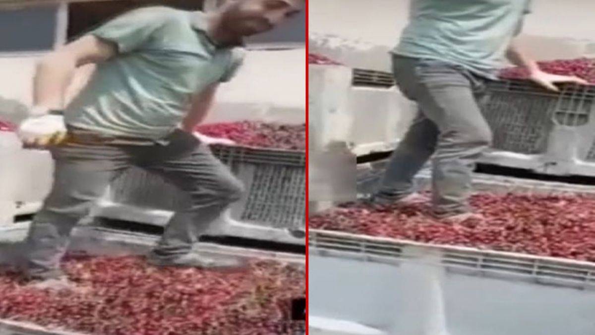 Ayakkabı ile vişne çiğneme skandalında 4 kişi serbest