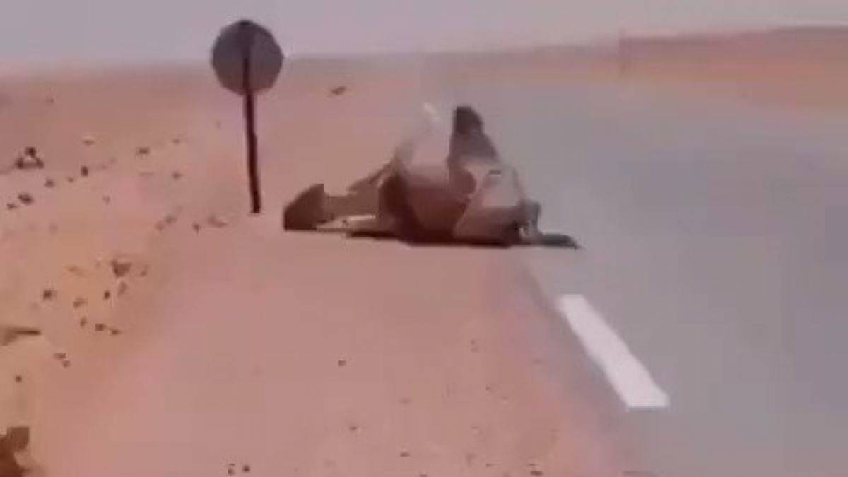 Cezayirli sürücüden deveye hayat suyu