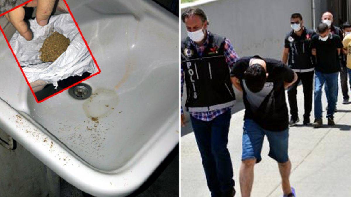 Bonzaiyi tuvalete dökerken yakalandı