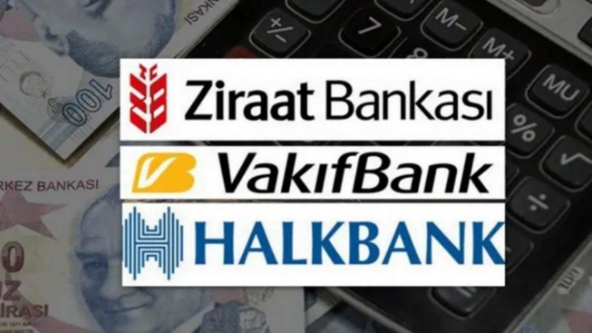 Kamu bankalarının yükü ve özel bankalar
