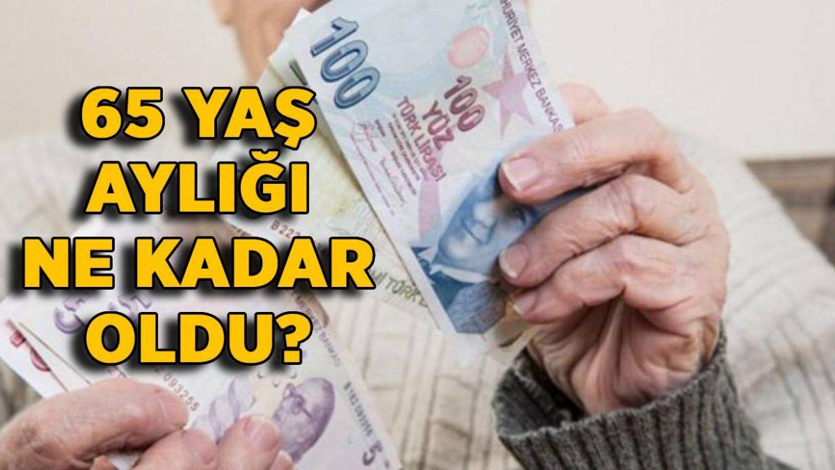 65 Yas Ayligi Ne Kadar Oldu 2021 Yaslilik Maasi Ne Kadar Oldu Timeturk Haber