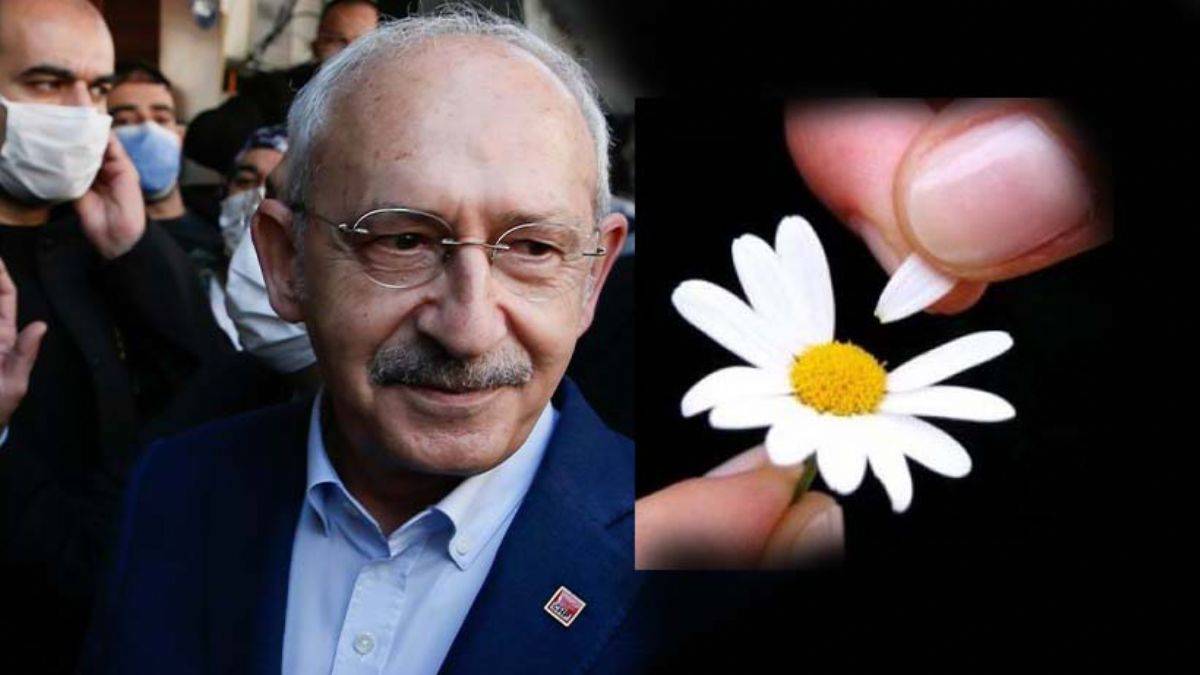 “Kılıçdaroğlu’nun adaylığı papatya falı gibi”