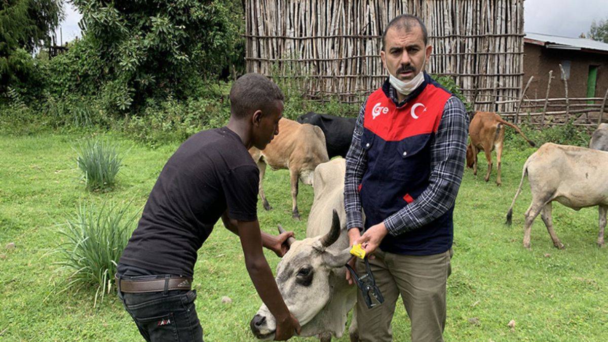 15 ülkede kurban seferberliği