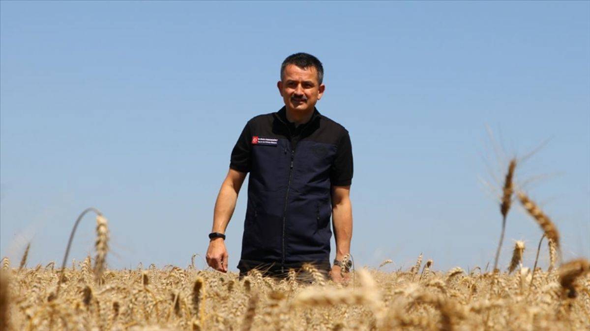 Pakdemirli: Kanola tohumunun yüzde 50'sini biz karşılayacağız