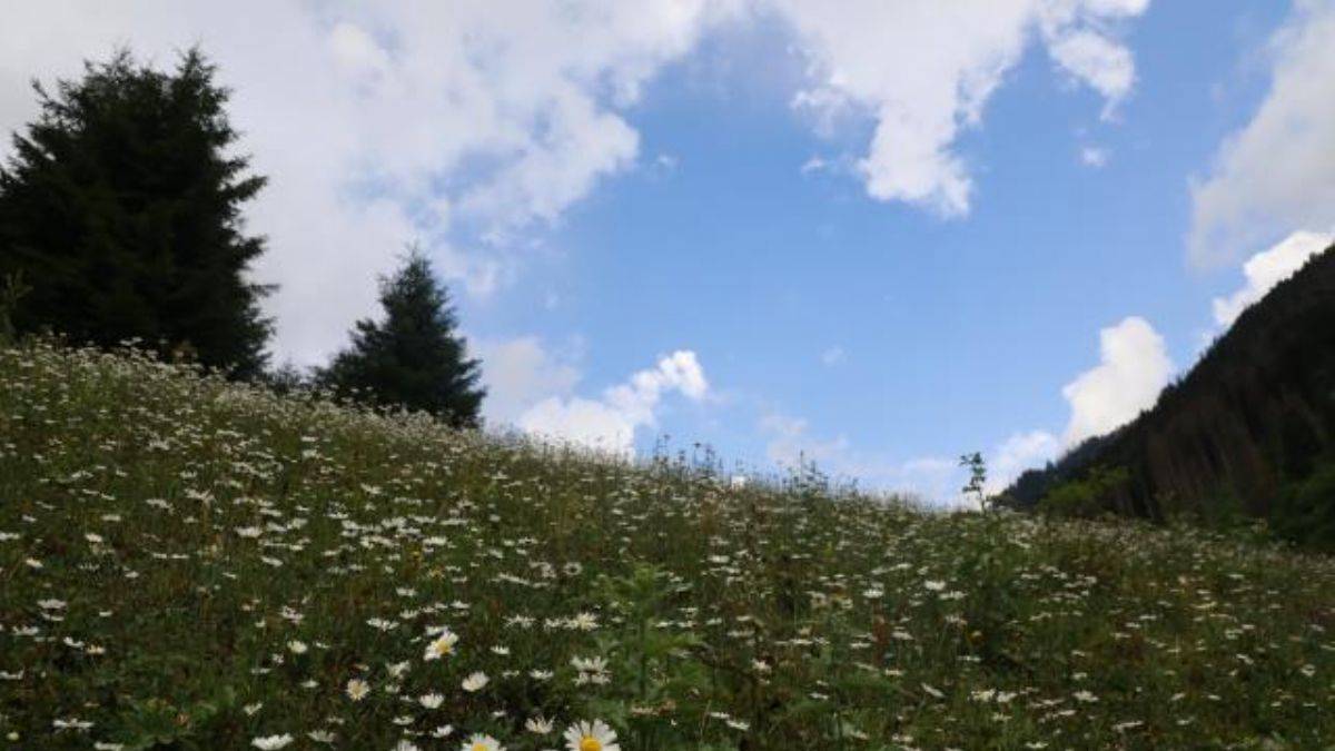 Samistal Yaylası bulutların üzerinde hissettiriyor