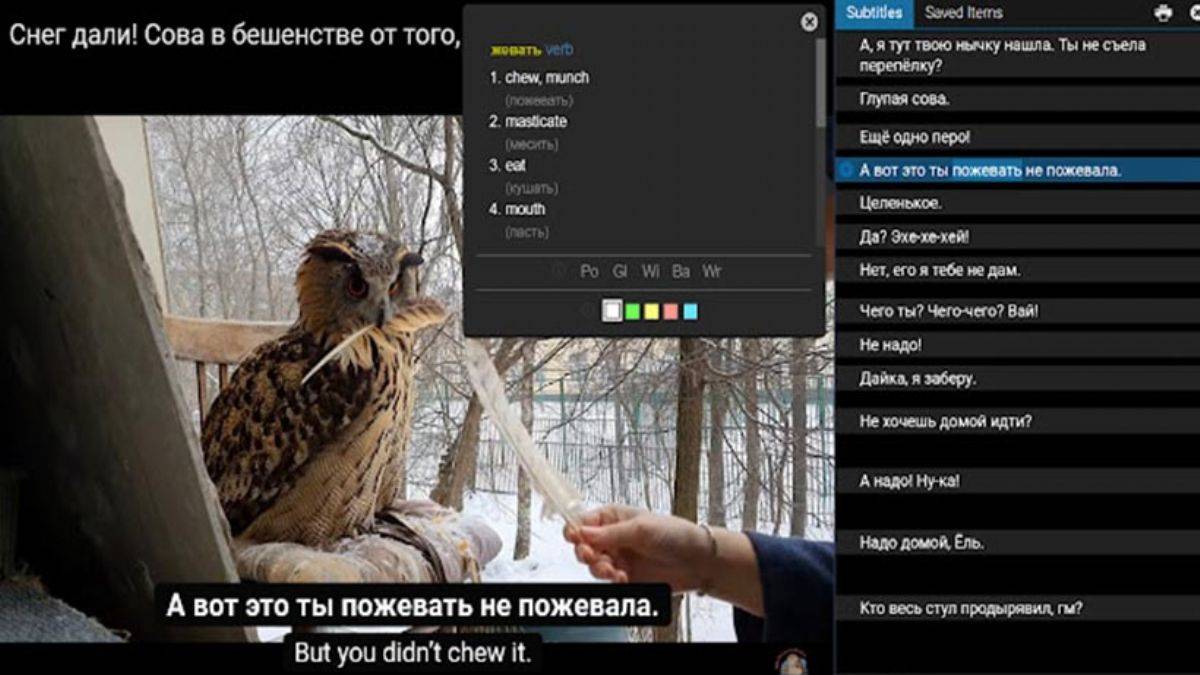 Youtube BETA ile yabancı dil öğrenme artık kolaylaşacak