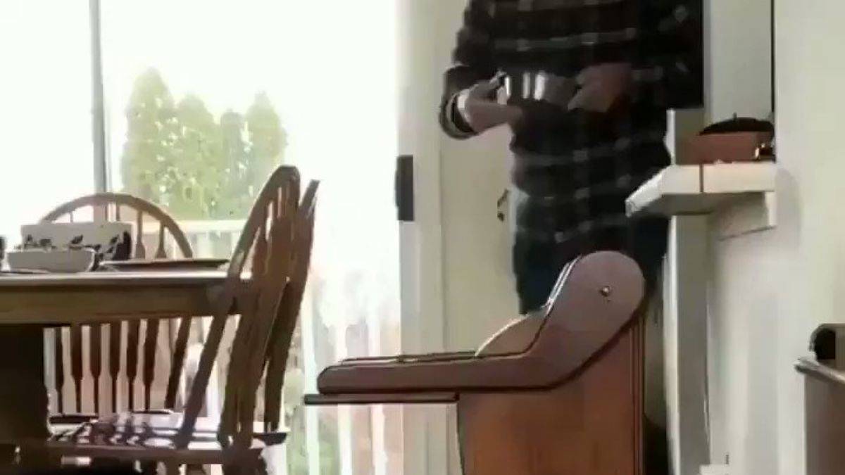 Sindirim sorunu olan köpeğe özel mama sandalyesi