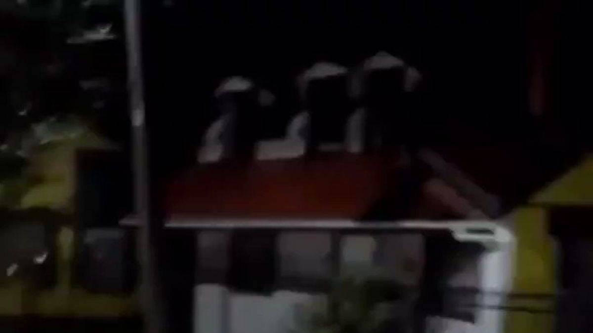 Şili de sahil kasabasında dolaşan dev fil foku gözlemlendi