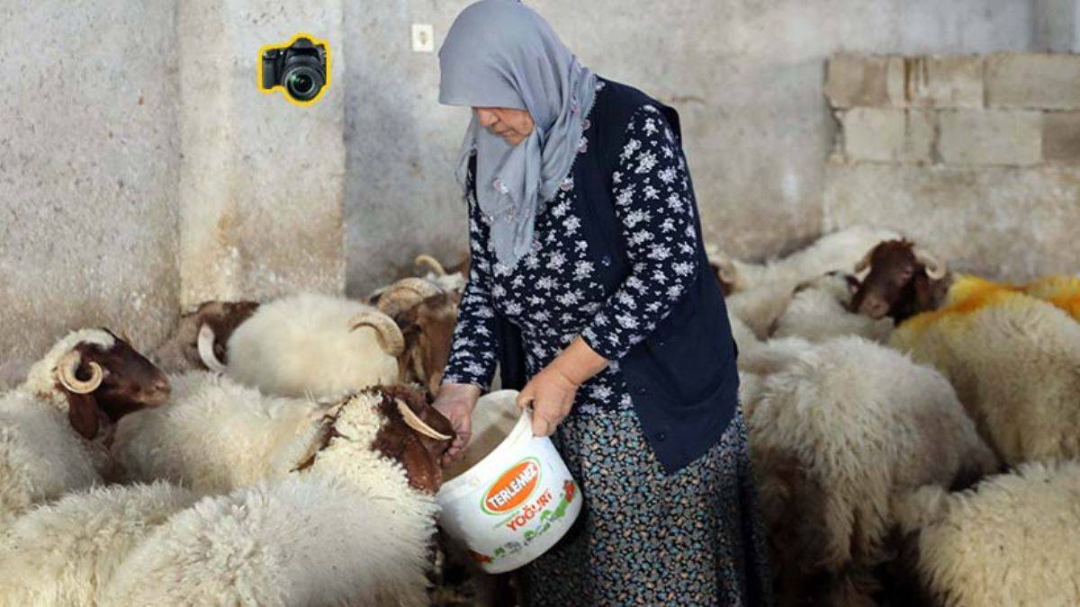 'Kadınsın yapamazsın' dediler, 59 yaşında başardı