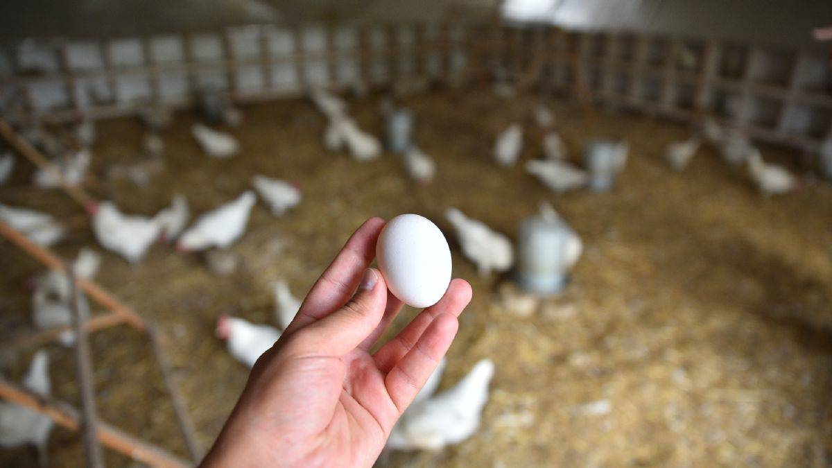 Çaresizlik üretimle umuda dönüşüyor