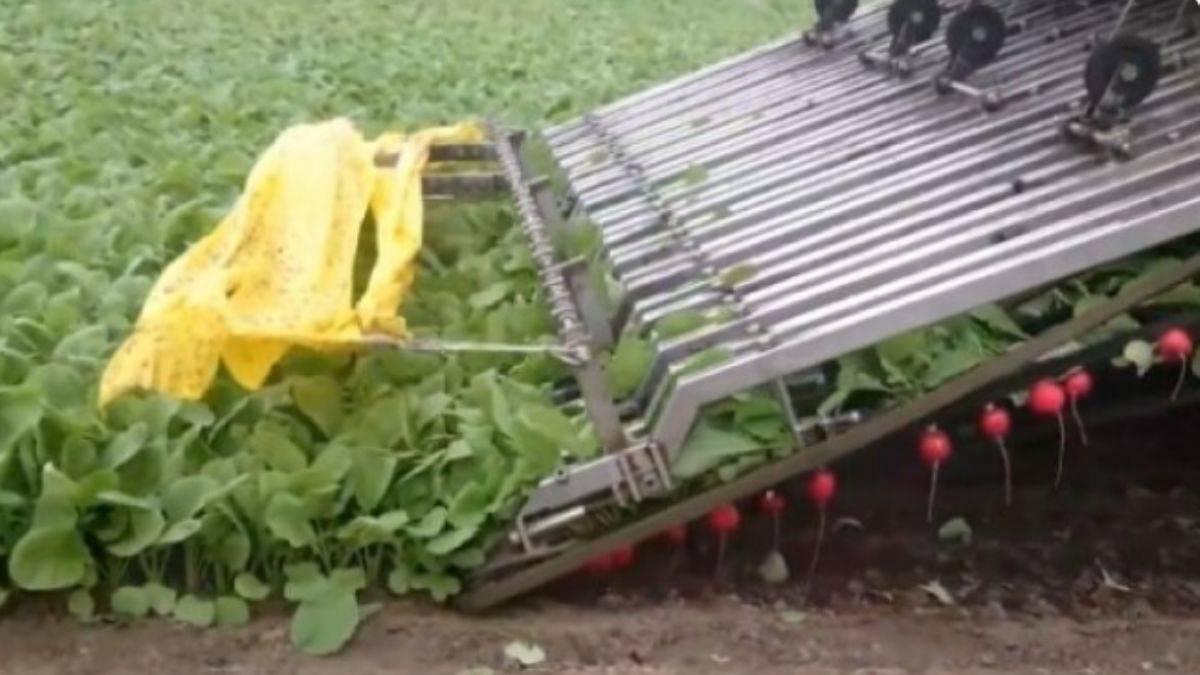 Çiftçilerin işini kolaylaştıracak müthiş teknoloji