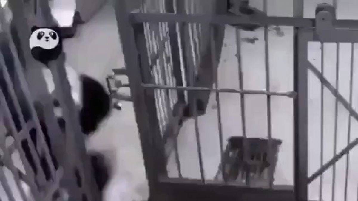 Paçasına sarıldı gitmemesi için elinden geleni yaptı