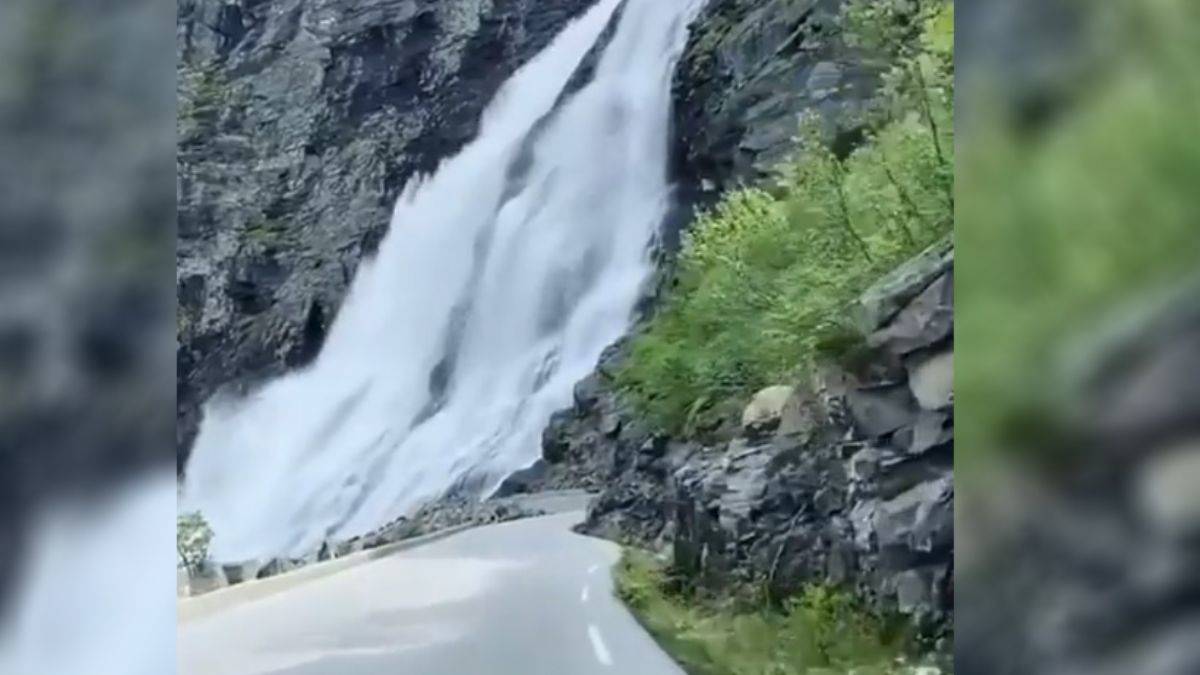 Norveç'te büyülü bir yolculuk