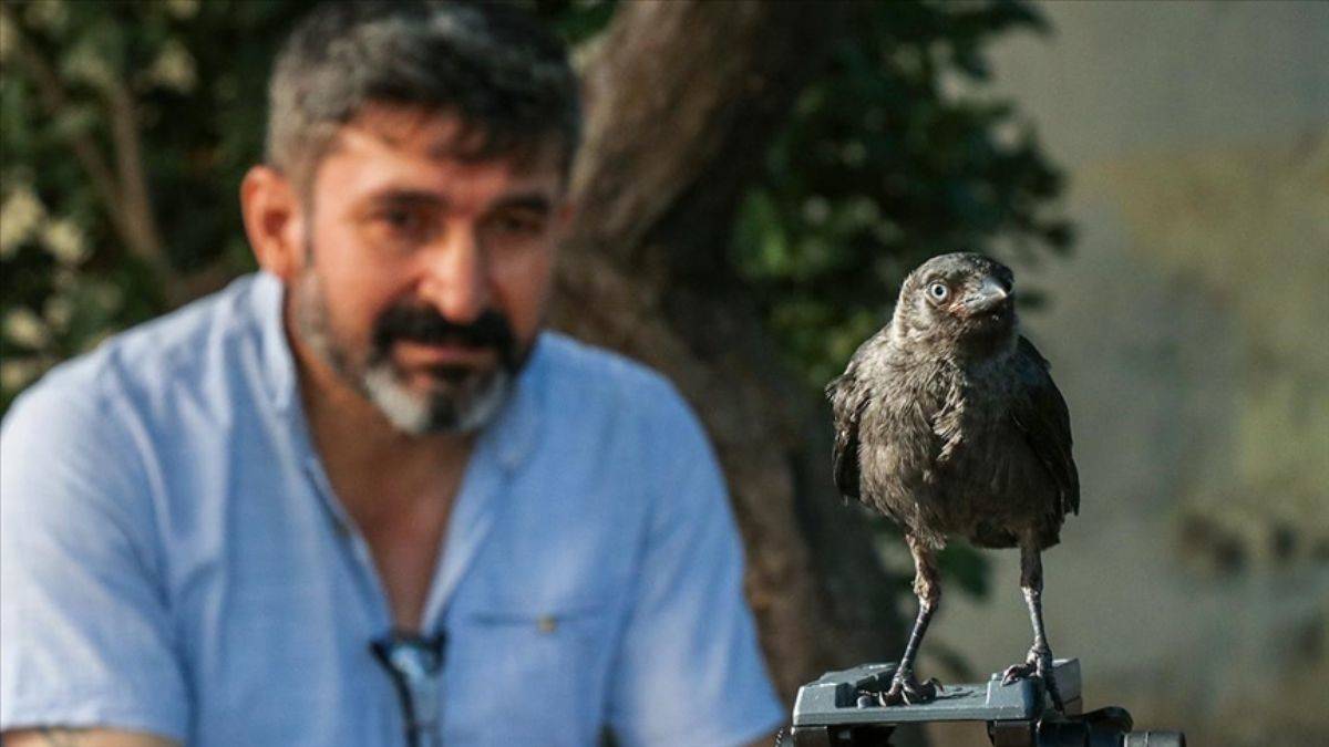 Muhabbet kargasına bebek gibi bakıyor