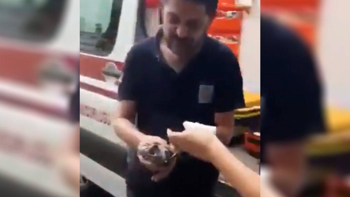 Bakan Koca’dan yaralı kuşa müdahale eden 112 ekibine teşekkür