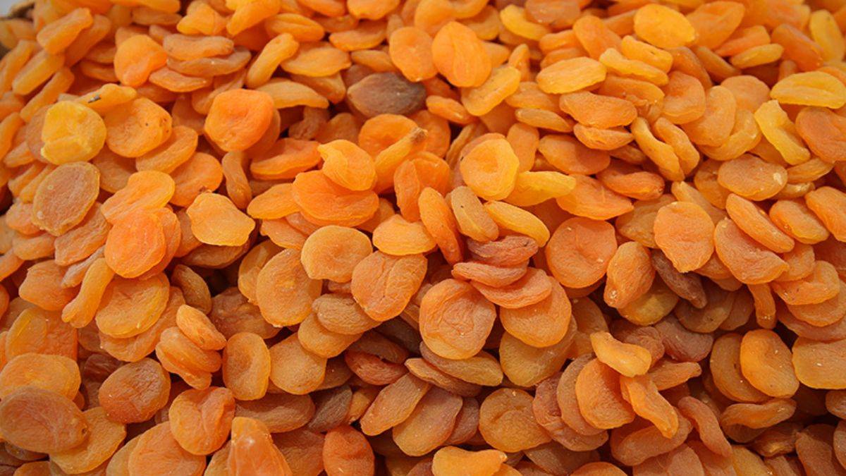 Malatya kayısısı 115 ülkede damakları tatlandırdı