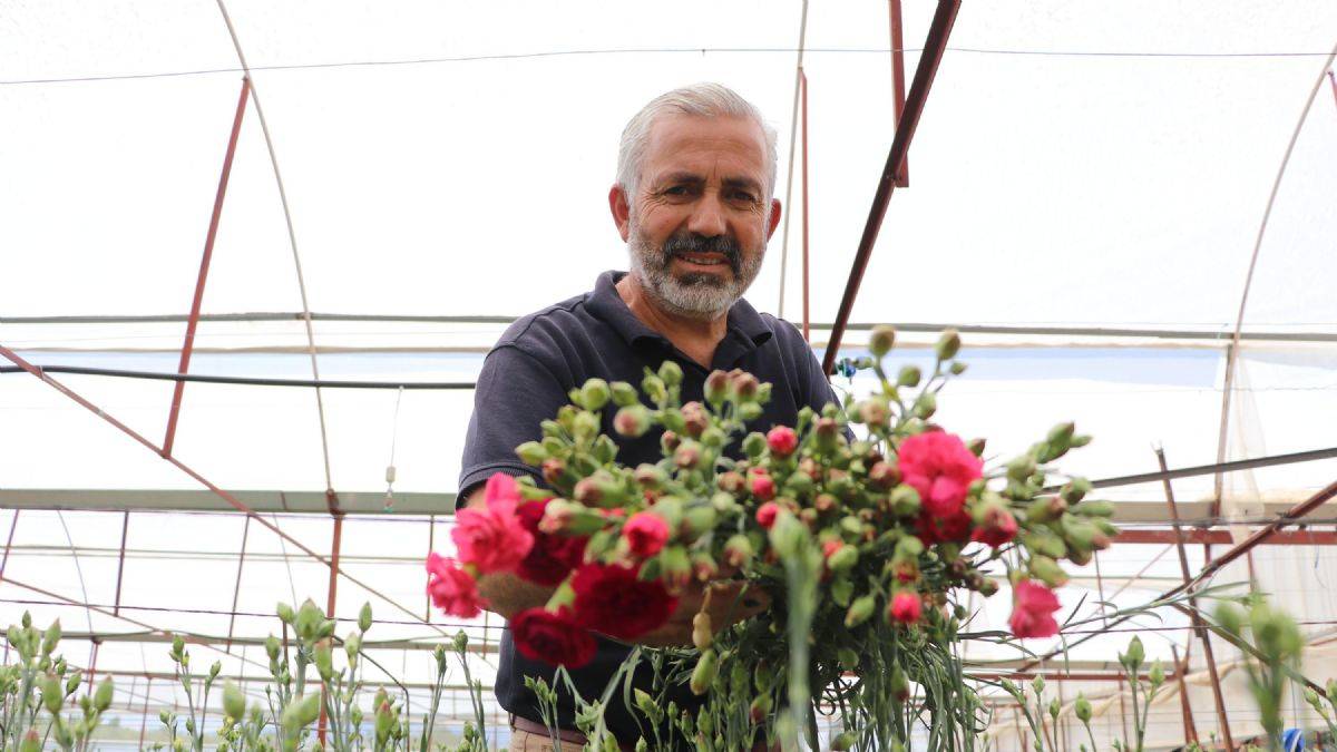 Denizli'den Hollanda'ya ihracat; 'Tereciye tere satıyoruz'