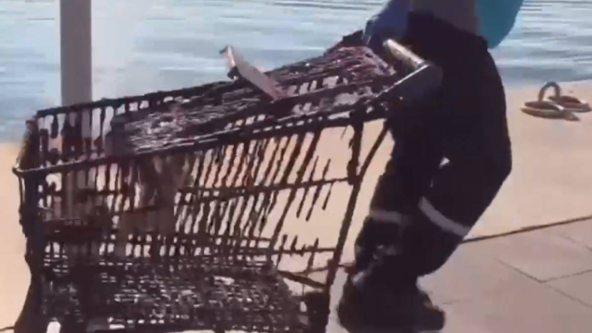 Muğla'da denizden kanepe de çıktı market arabası da