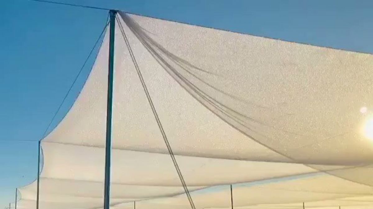 Geceden kalma çiğ taneleri ile sulama yapmak