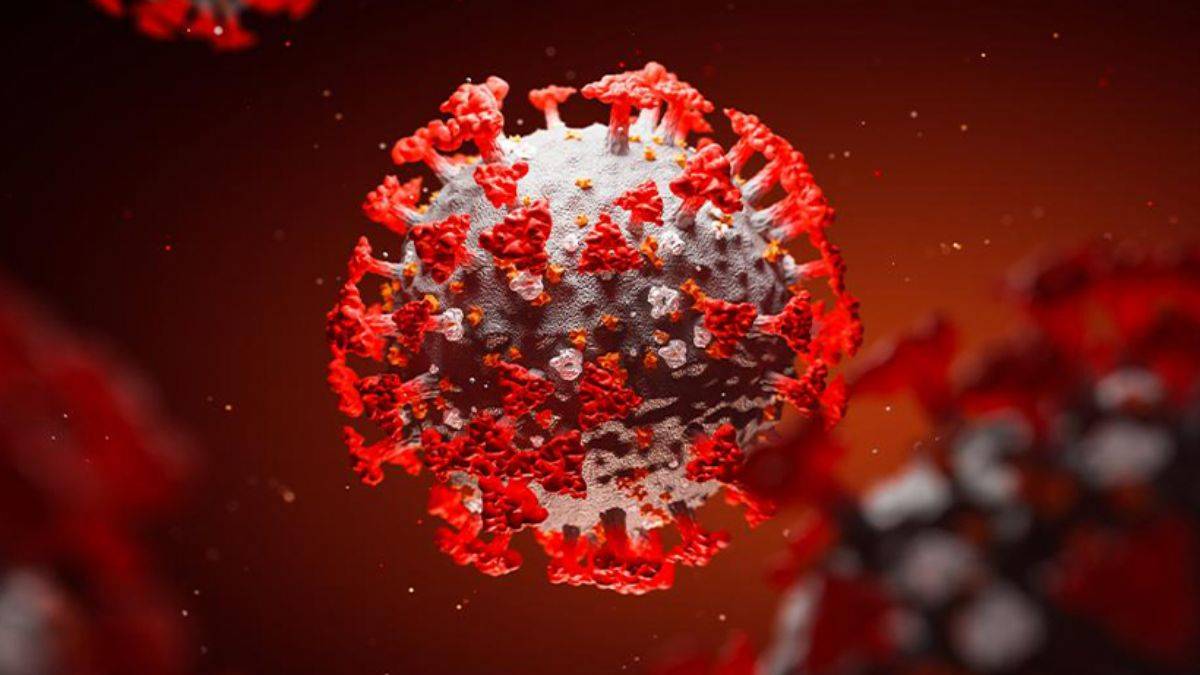 Binlerce yıllık buzulda 28 yeni virüs keşfedildi