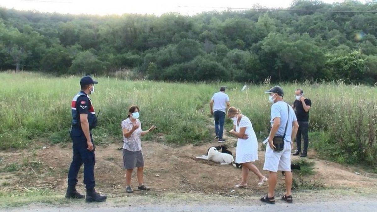 Sarıyer'de yavru köpeği diri diri yaktılar